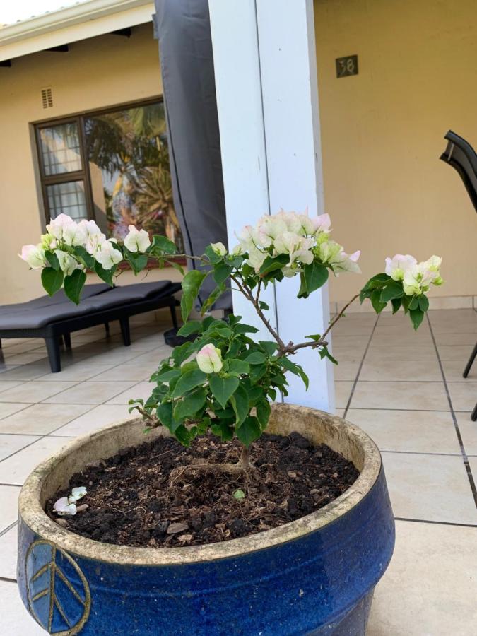 Villa Sole'S Leap Scottburgh Esterno foto